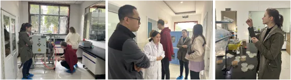谈球吧(中国)-官方网站